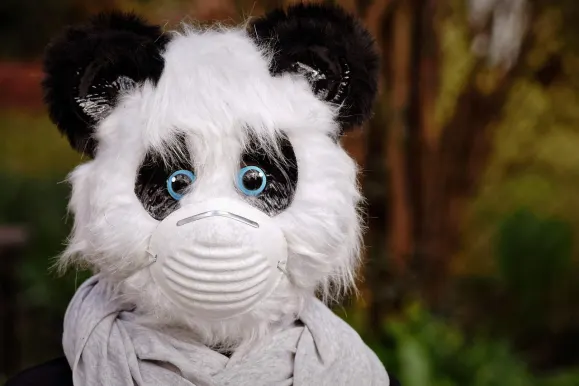 SilverPlay Casino Supporto